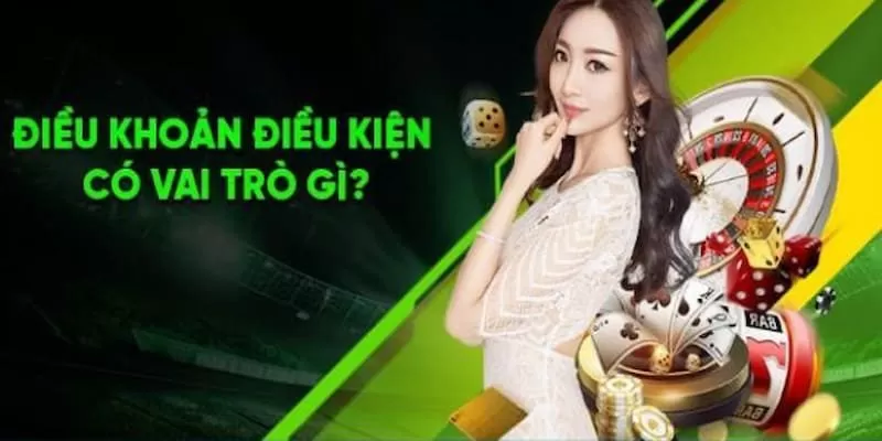 điều khoản sử dụng bannner 69vn